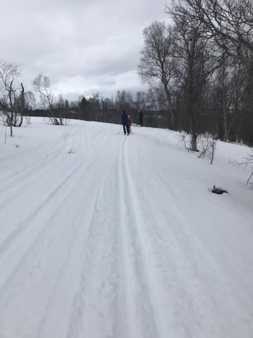 Trivelig Fritidshus Pa Arnes, Senja Straumstad Exterior foto
