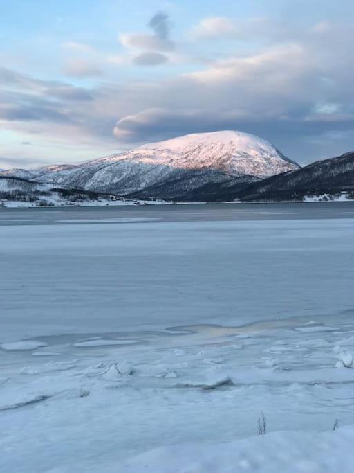 Trivelig Fritidshus Pa Arnes, Senja Straumstad Exterior foto