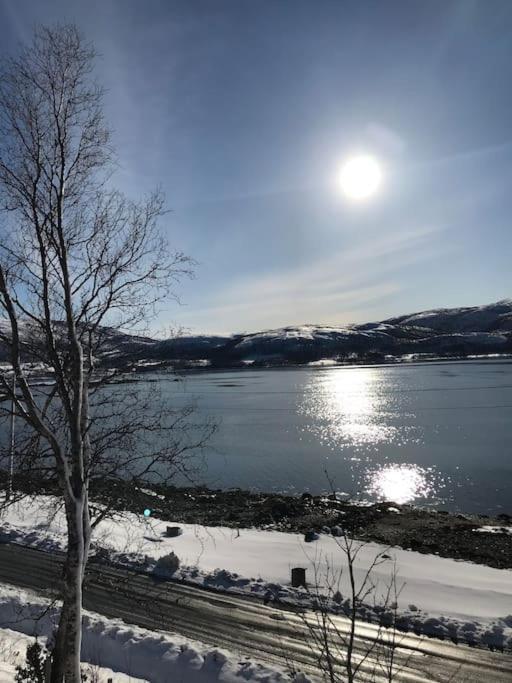 Trivelig Fritidshus Pa Arnes, Senja Straumstad Exterior foto