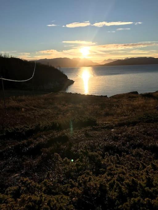 Trivelig Fritidshus Pa Arnes, Senja Straumstad Exterior foto