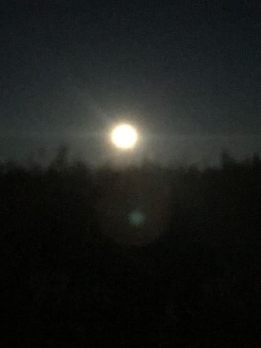 Trivelig Fritidshus Pa Arnes, Senja Straumstad Exterior foto