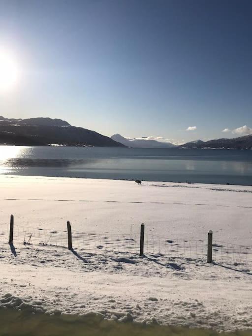 Trivelig Fritidshus Pa Arnes, Senja Straumstad Exterior foto